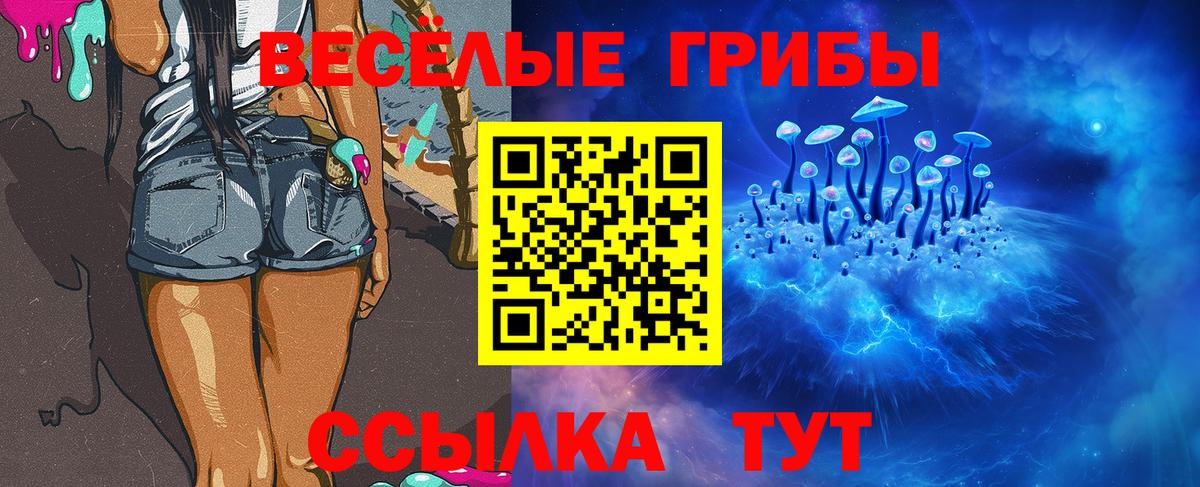 Псилоцибиновые грибы Magic Shrooms  Вход с VPN  Гусиноозёрск 